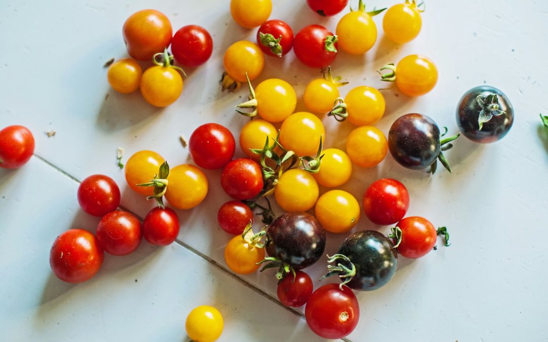 Urban Homesteading for Beginners: 5 Simple Steps to Live Abundantly in the City